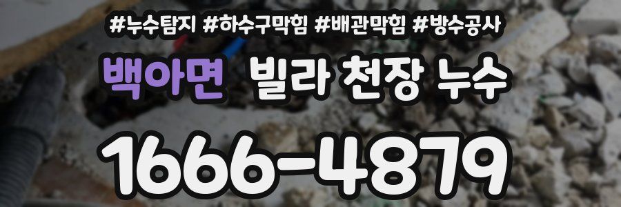 백아면 빌라 천장 누수