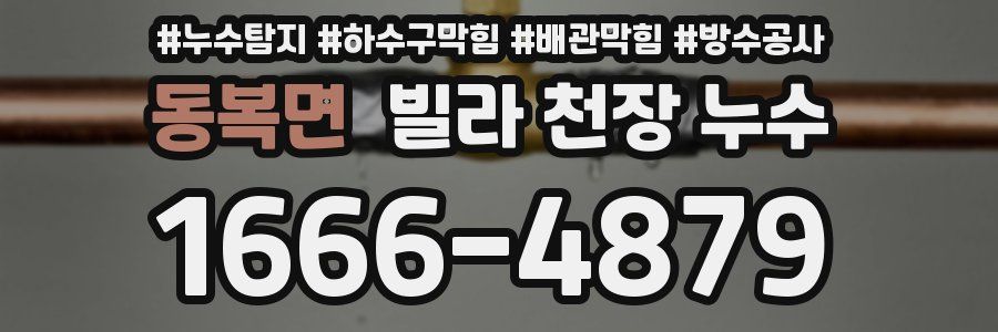 동복면 빌라 천장 누수