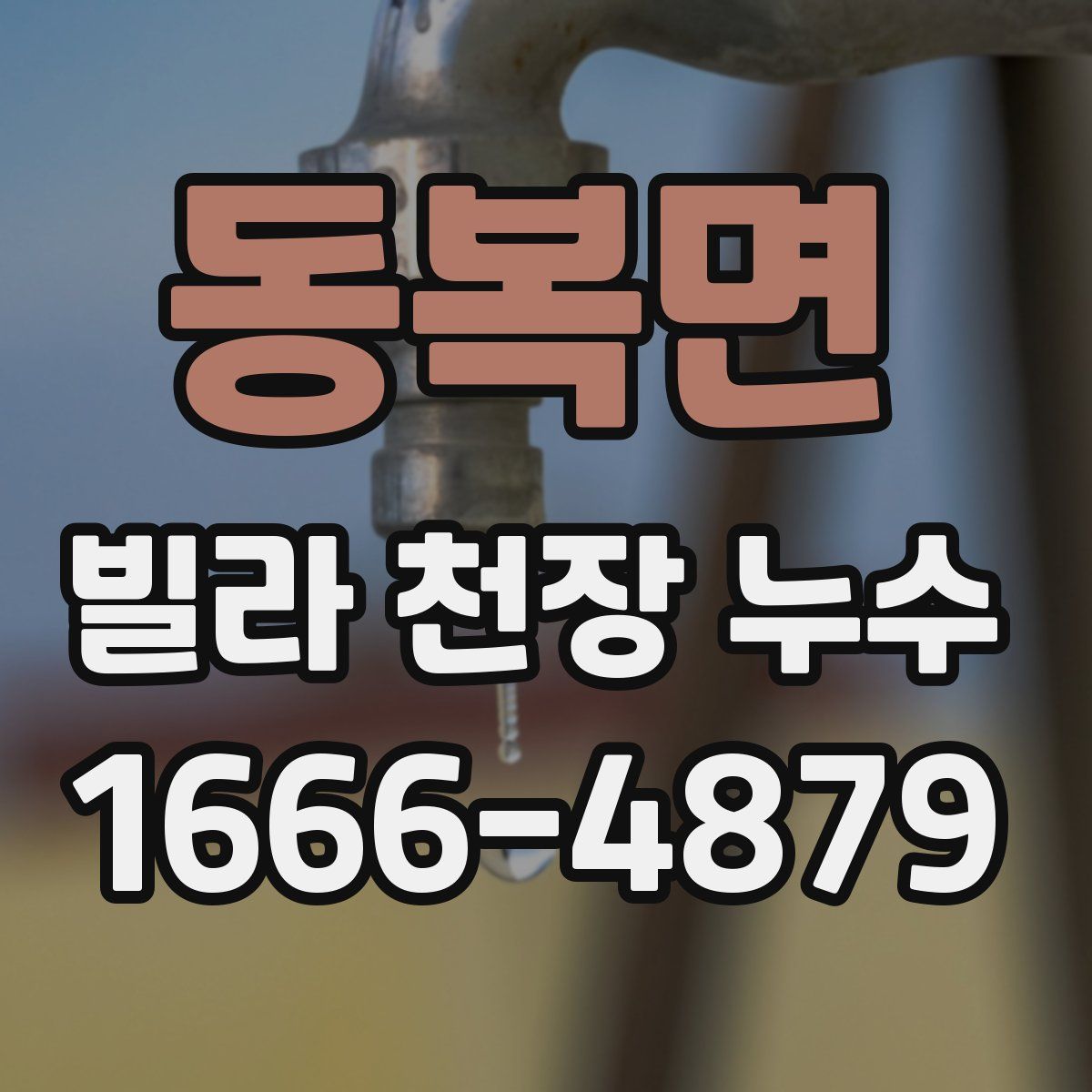 동복면 빌라 천장 누수