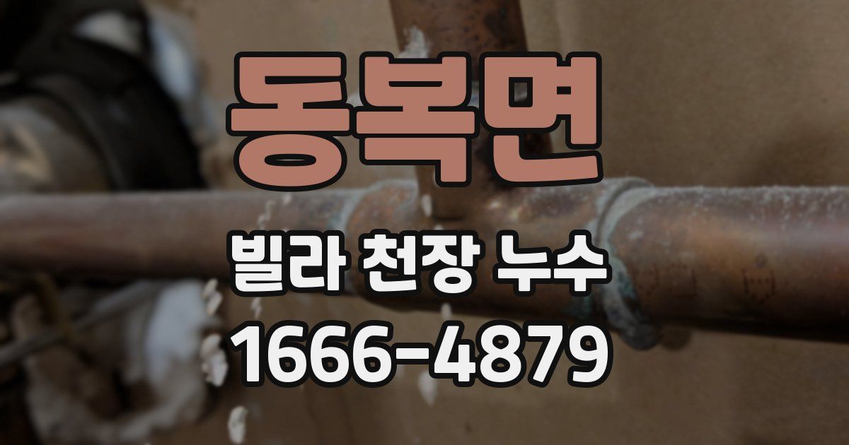 동복면 빌라 천장 누수