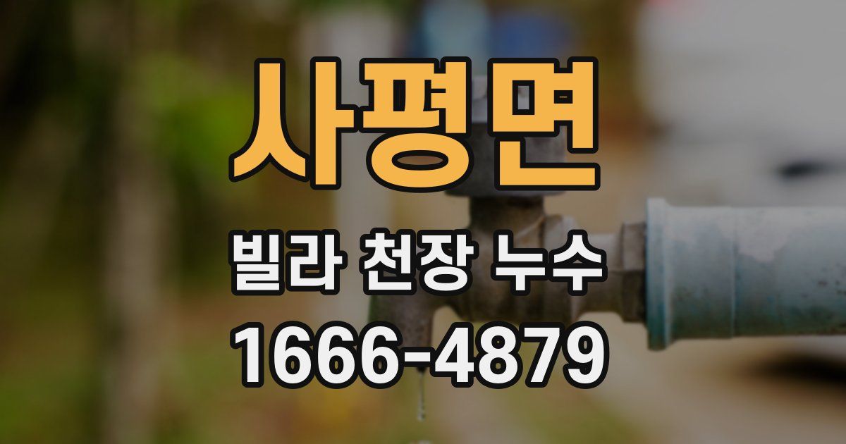 사평면 빌라 천장 누수