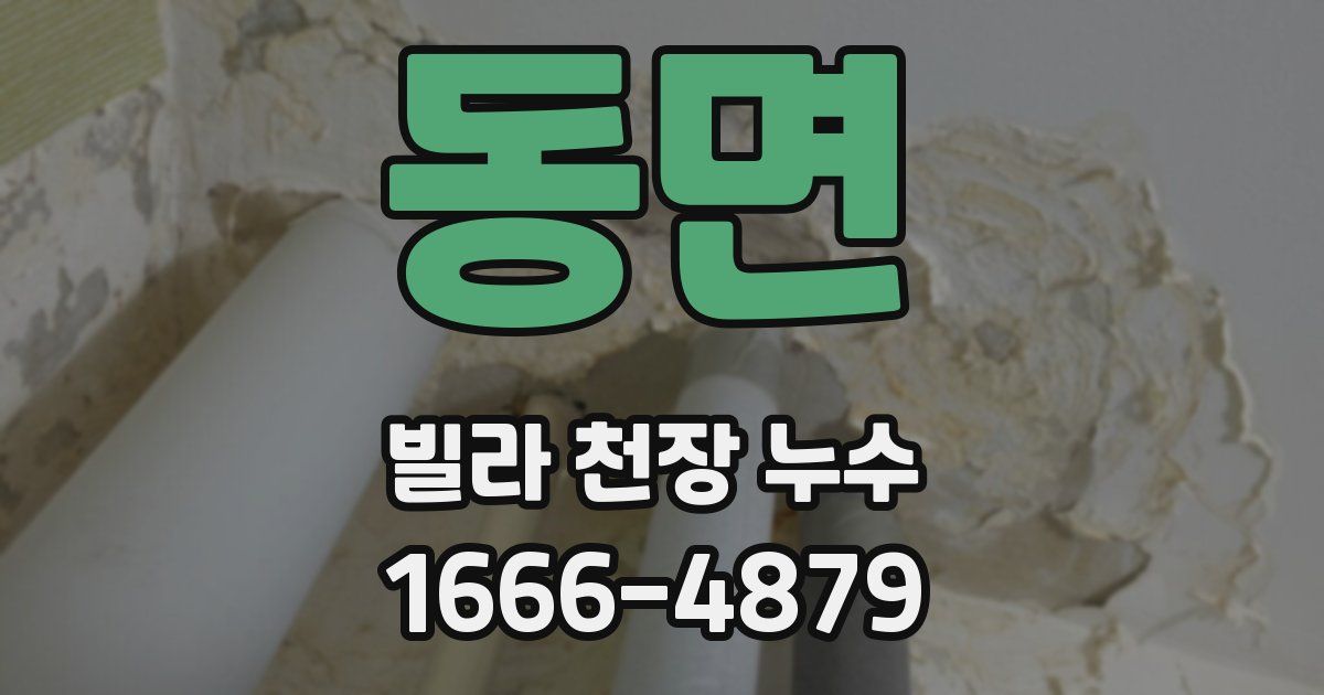 동면 빌라 천장 누수