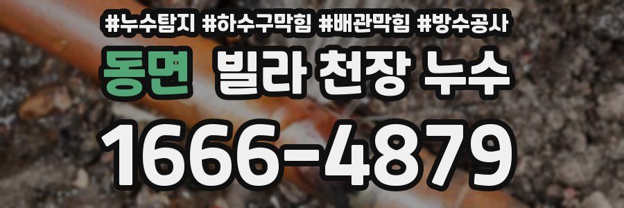 동면 빌라 천장 누수