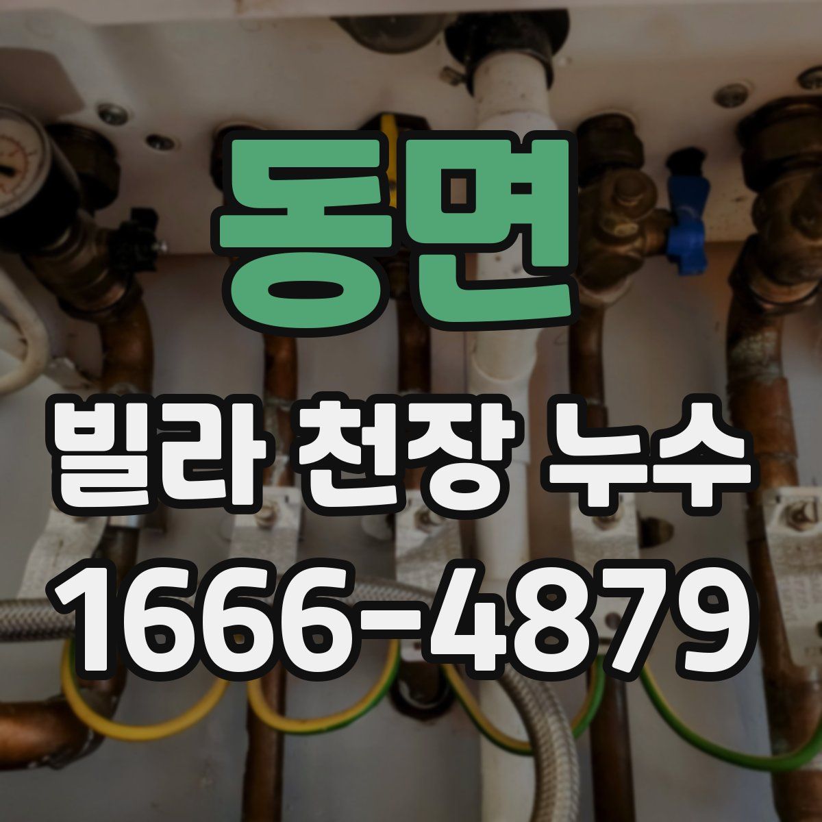 동면 빌라 천장 누수