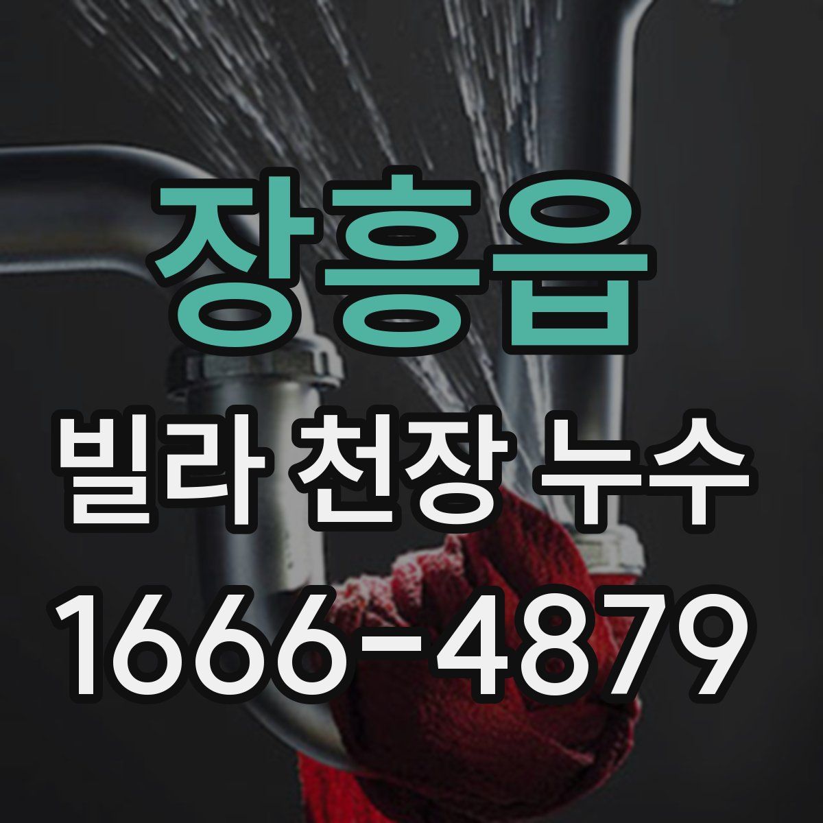 장흥읍 빌라 천장 누수
