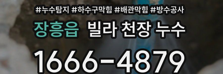 장흥읍 빌라 천장 누수