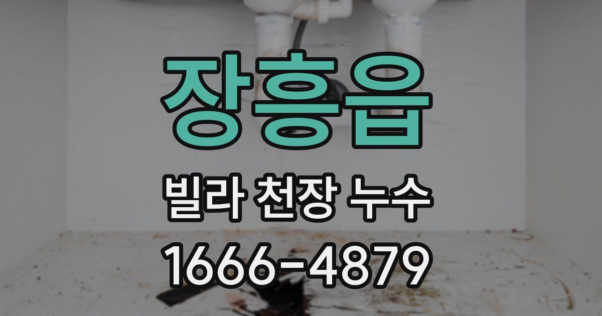 장흥읍 빌라 천장 누수
