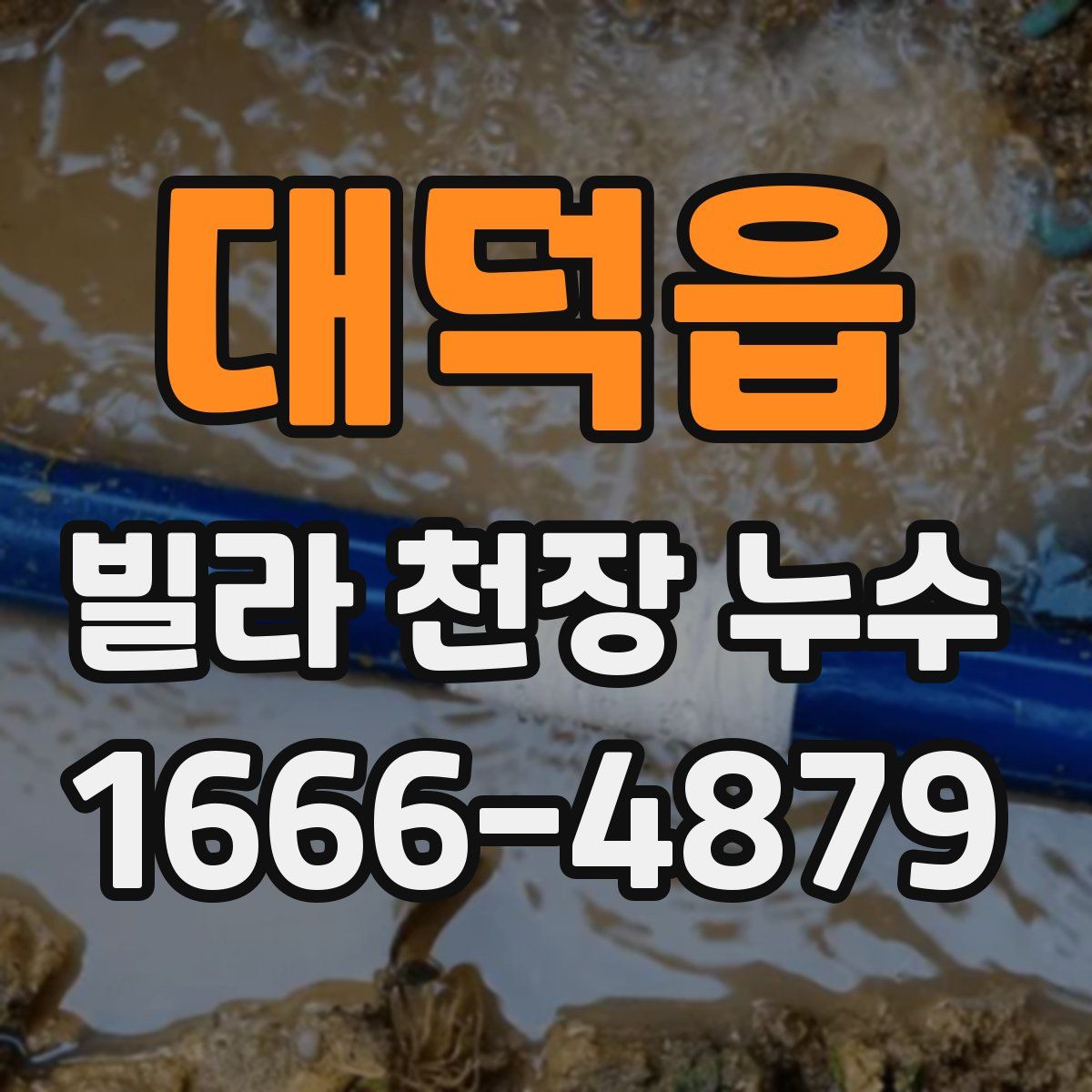 대덕읍 빌라 천장 누수