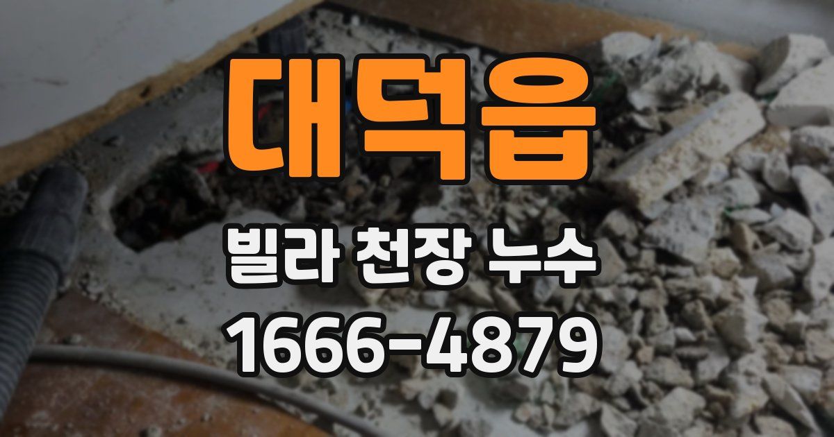대덕읍 빌라 천장 누수