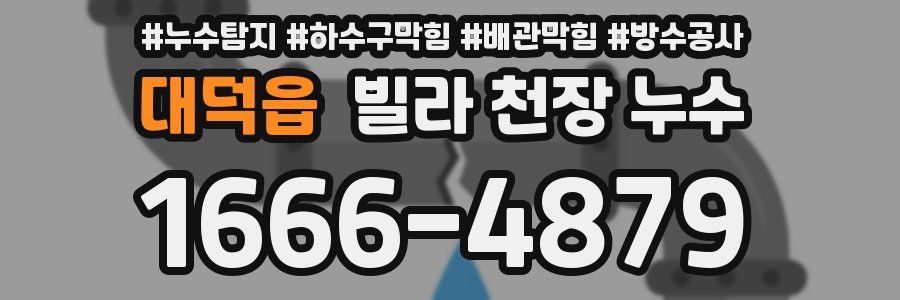 대덕읍 빌라 천장 누수