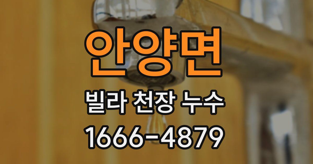 안양면 빌라 천장 누수