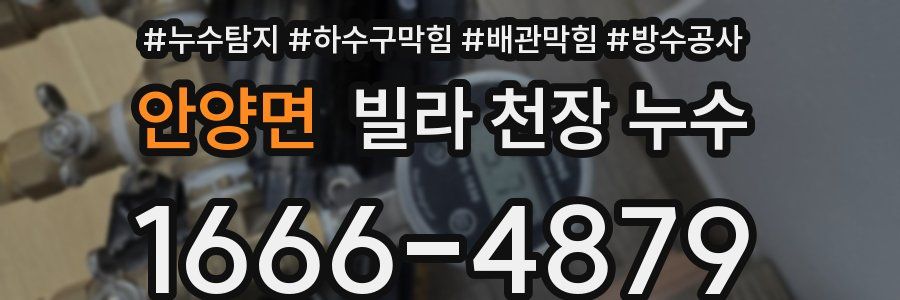 안양면 빌라 천장 누수