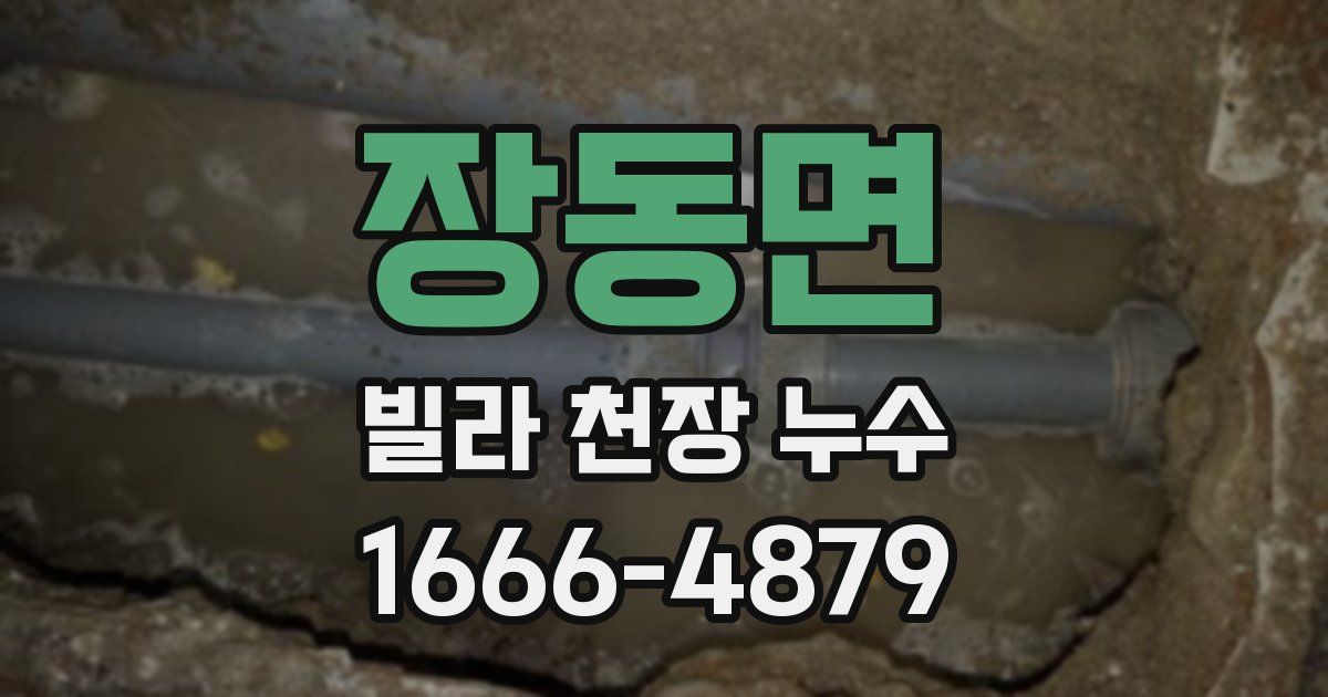 장동면 빌라 천장 누수