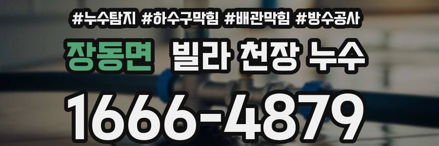 장동면 빌라 천장 누수