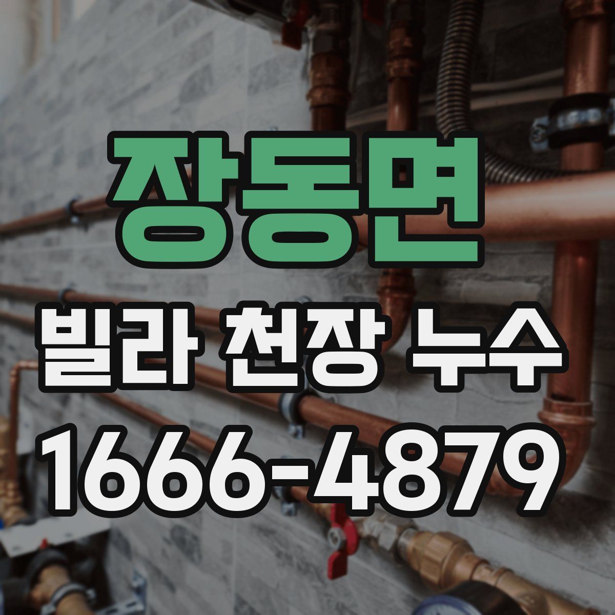 장동면 빌라 천장 누수