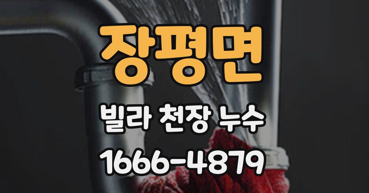 장평면 빌라 천장 누수
