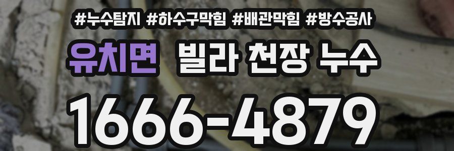 유치면 빌라 천장 누수