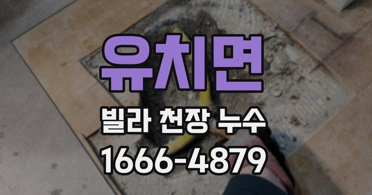 유치면 빌라 천장 누수