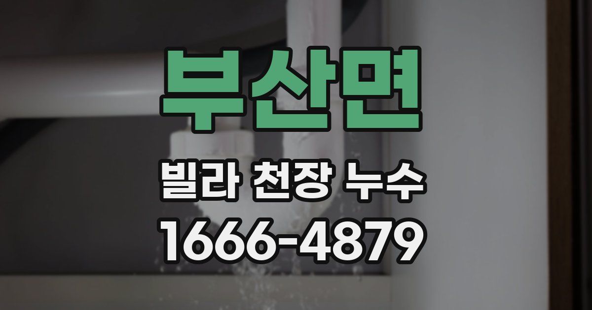 부산면 빌라 천장 누수