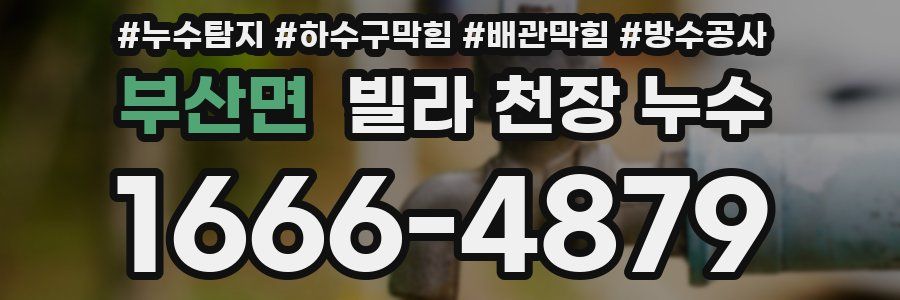 부산면 빌라 천장 누수