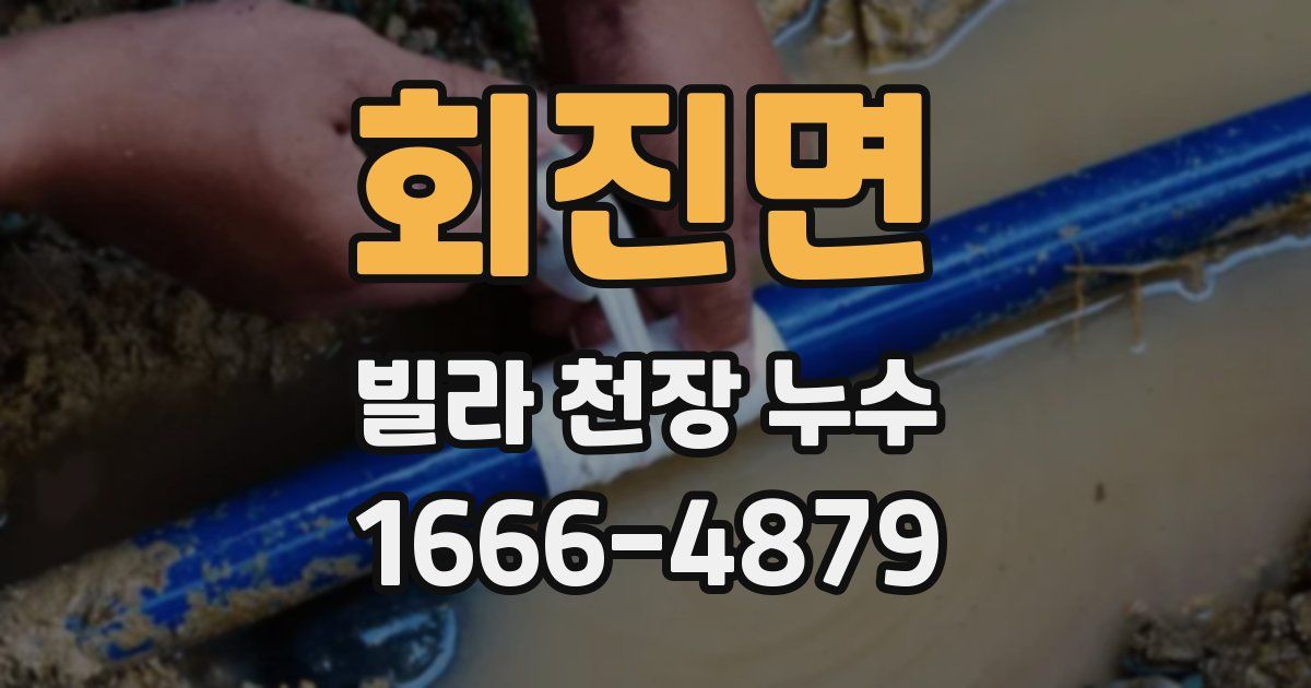 회진면 빌라 천장 누수