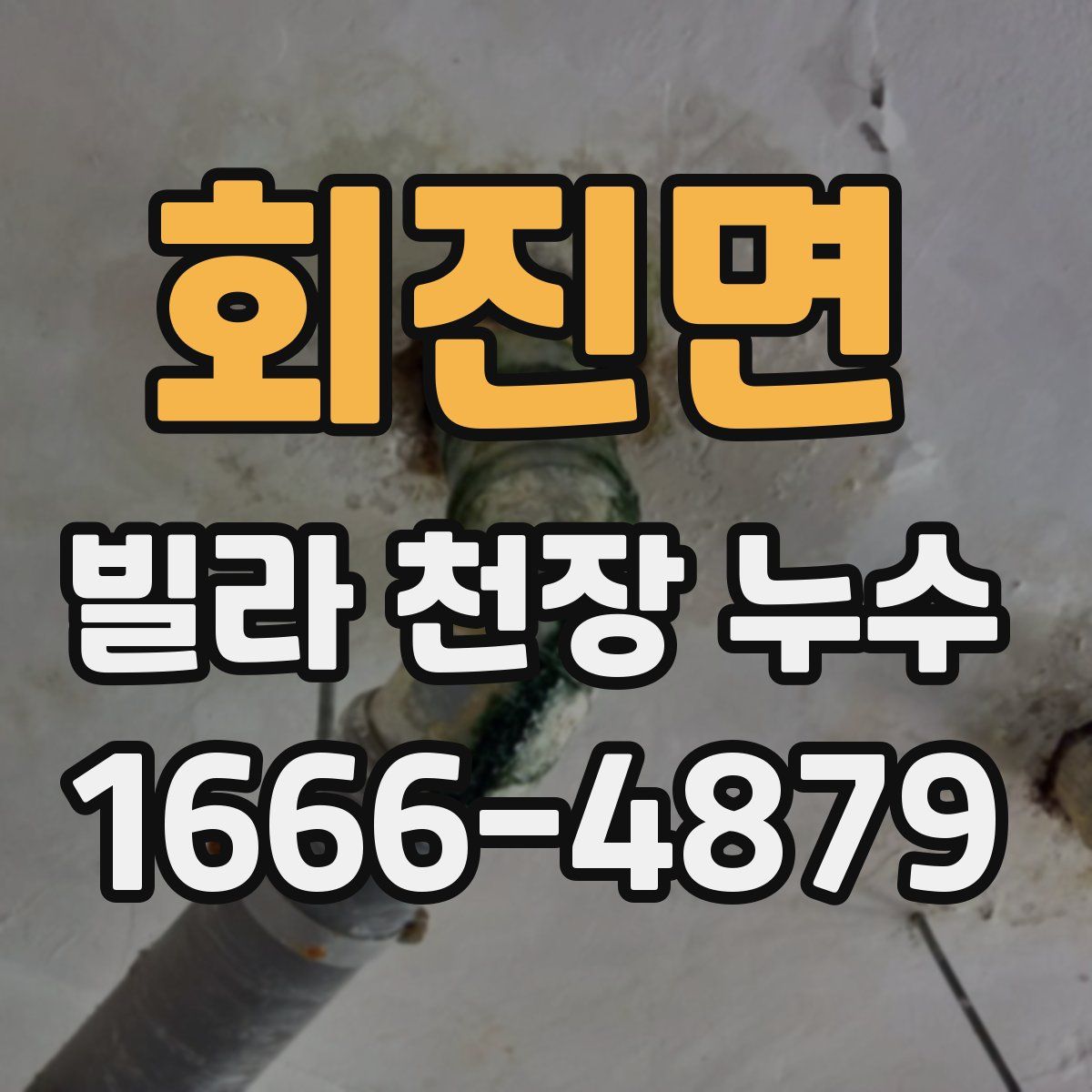 회진면 빌라 천장 누수