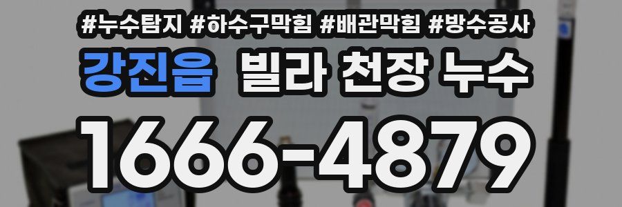 강진읍 빌라 천장 누수