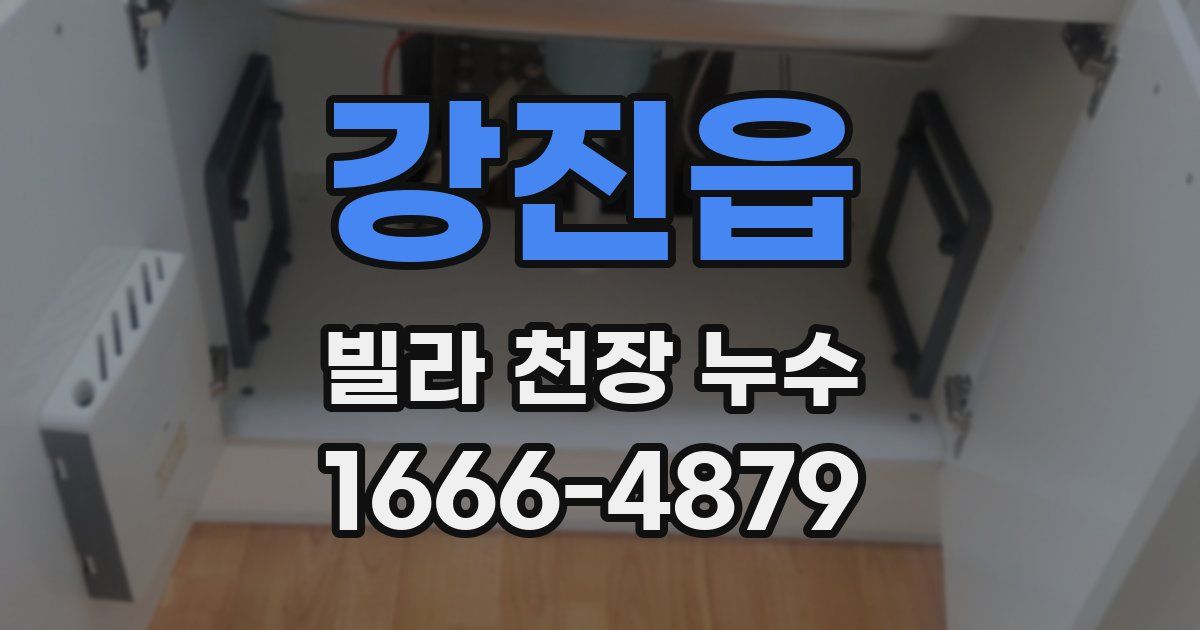 강진읍 빌라 천장 누수