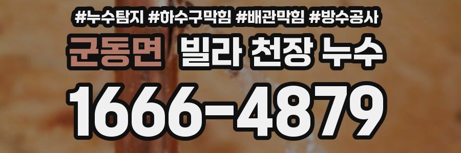 군동면 빌라 천장 누수