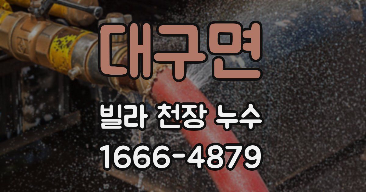 대구면 빌라 천장 누수