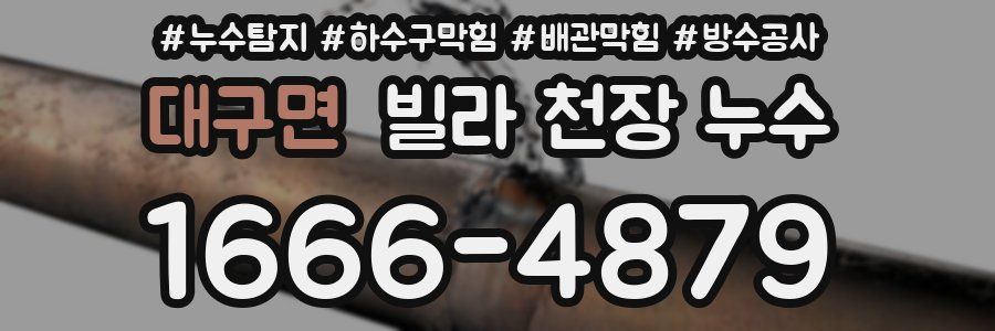 대구면 빌라 천장 누수
