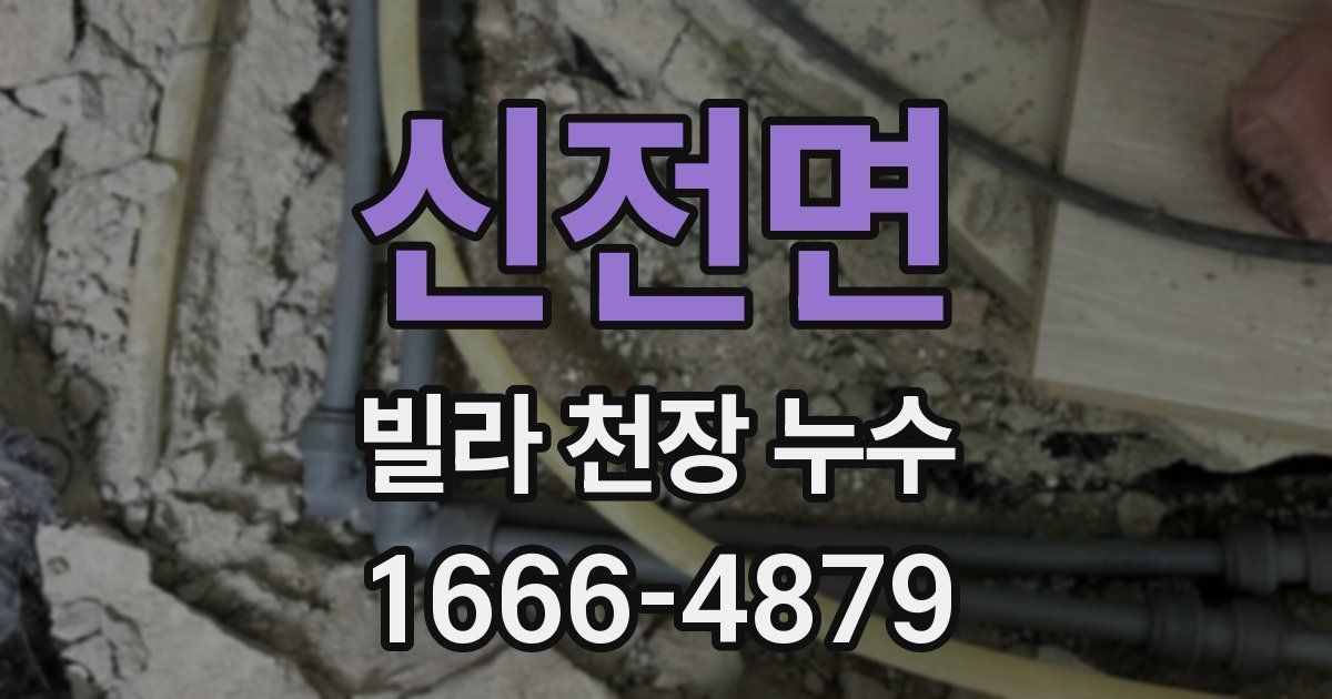 신전면 빌라 천장 누수