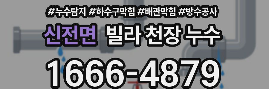 신전면 빌라 천장 누수