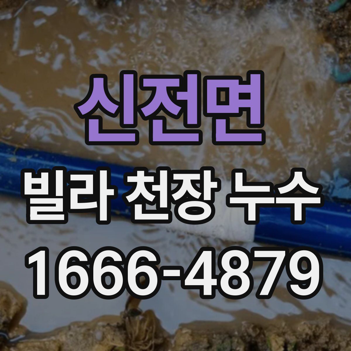 신전면 빌라 천장 누수