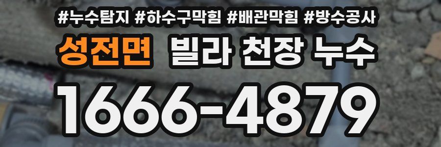 성전면 빌라 천장 누수