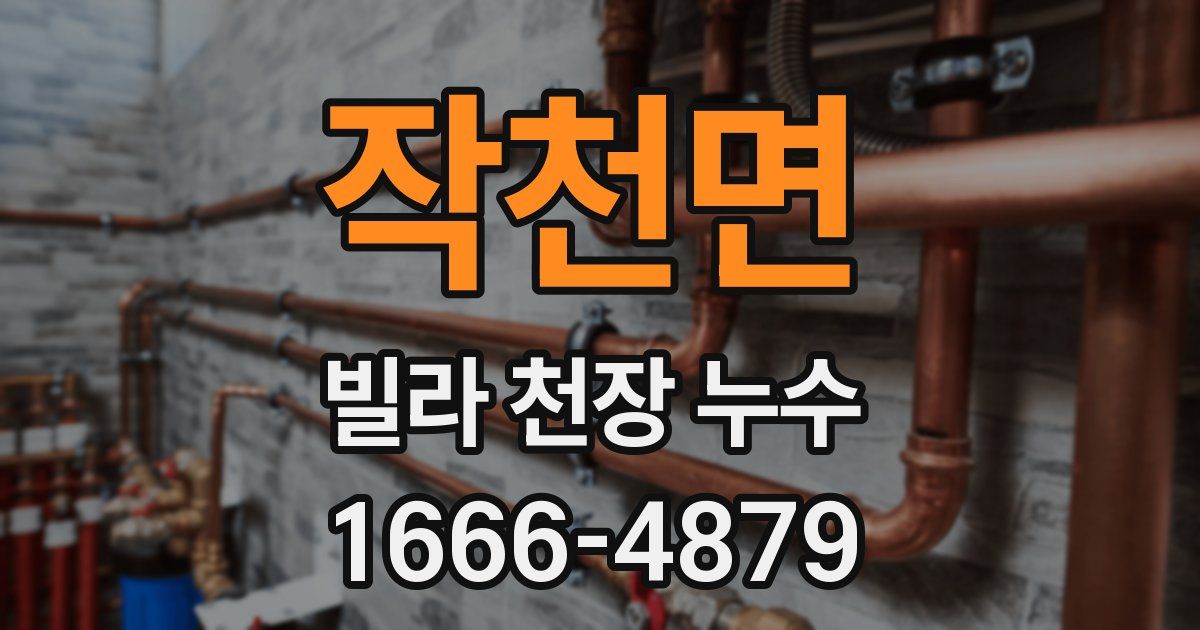 작천면 빌라 천장 누수