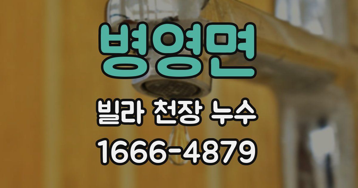 병영면 빌라 천장 누수