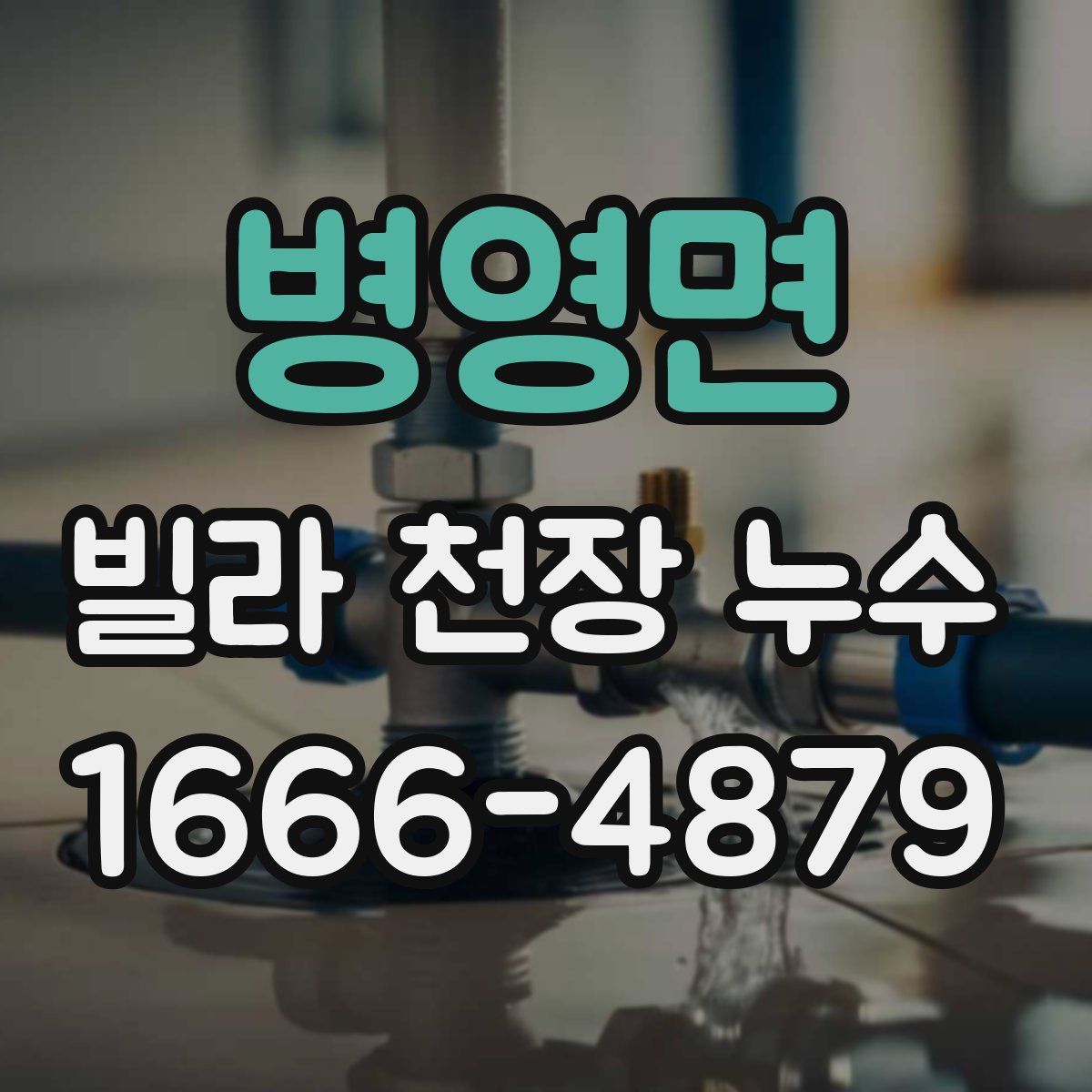 병영면 빌라 천장 누수