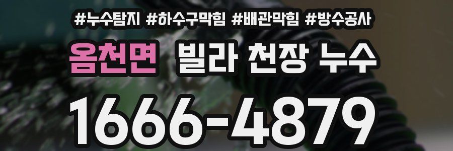 옴천면 빌라 천장 누수