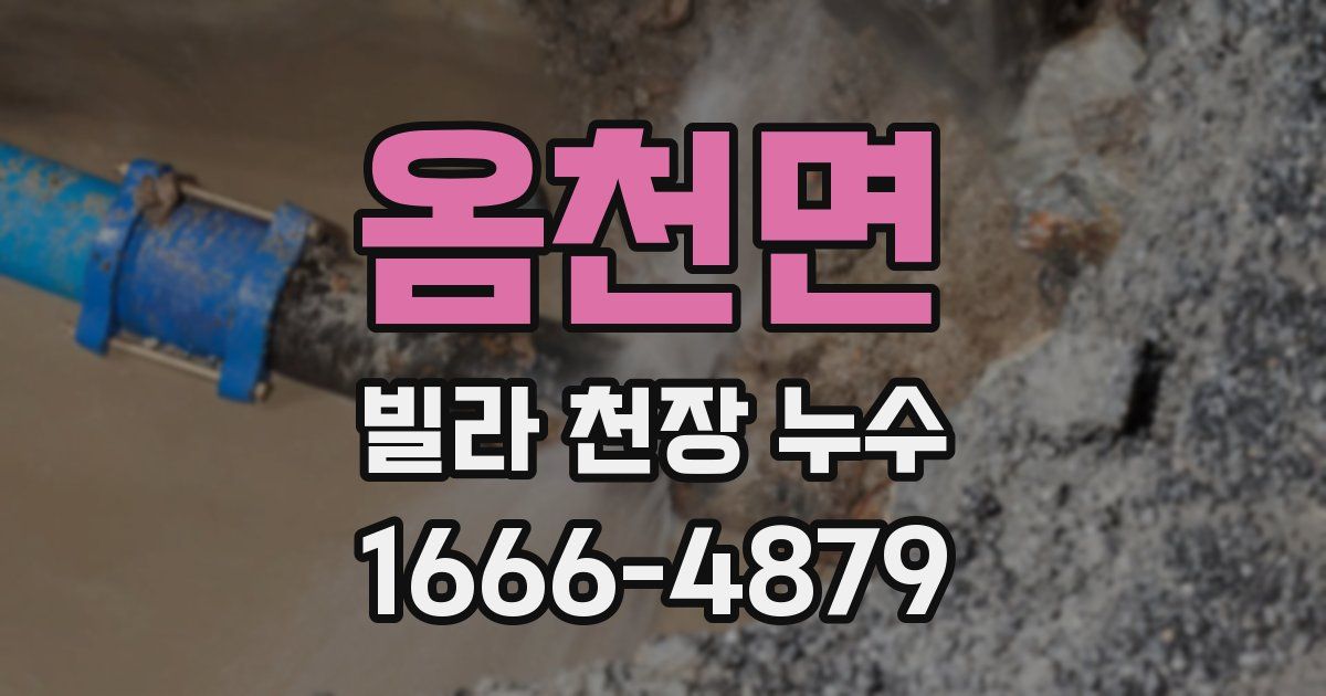 옴천면 빌라 천장 누수
