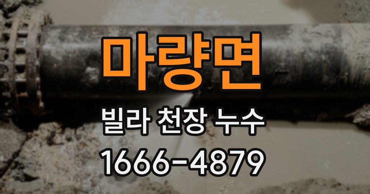 마량면 빌라 천장 누수