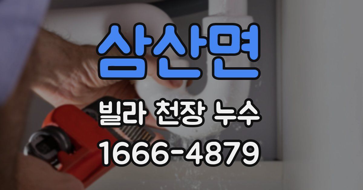 삼산면 빌라 천장 누수