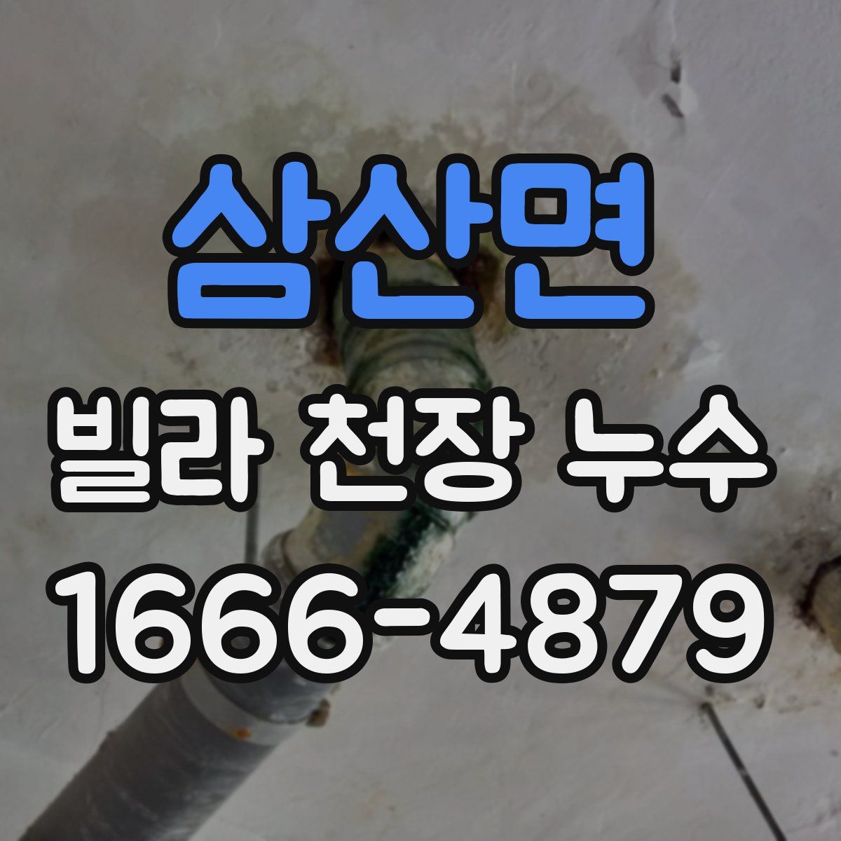 삼산면 빌라 천장 누수