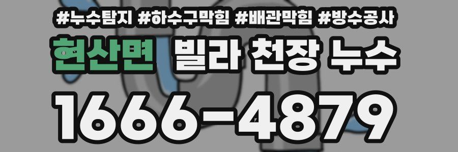 현산면 빌라 천장 누수