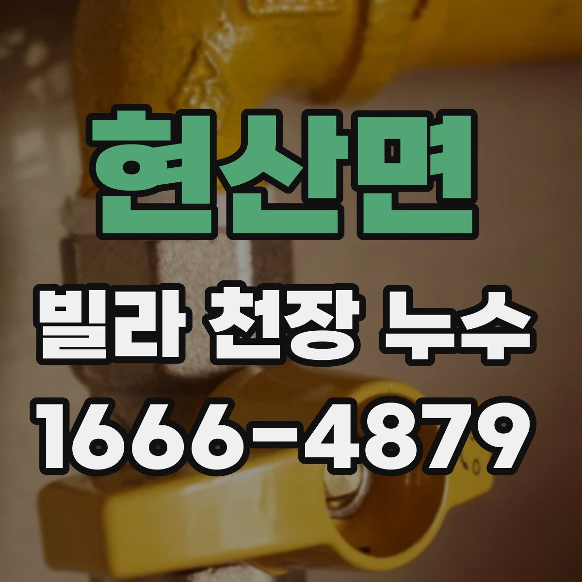 현산면 빌라 천장 누수