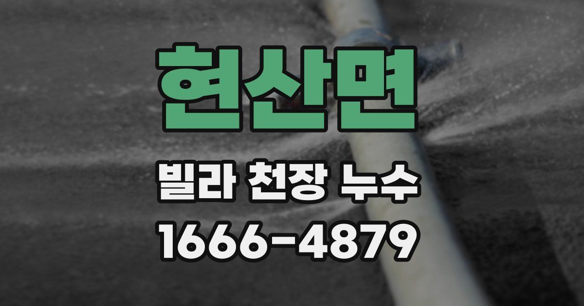 현산면 빌라 천장 누수