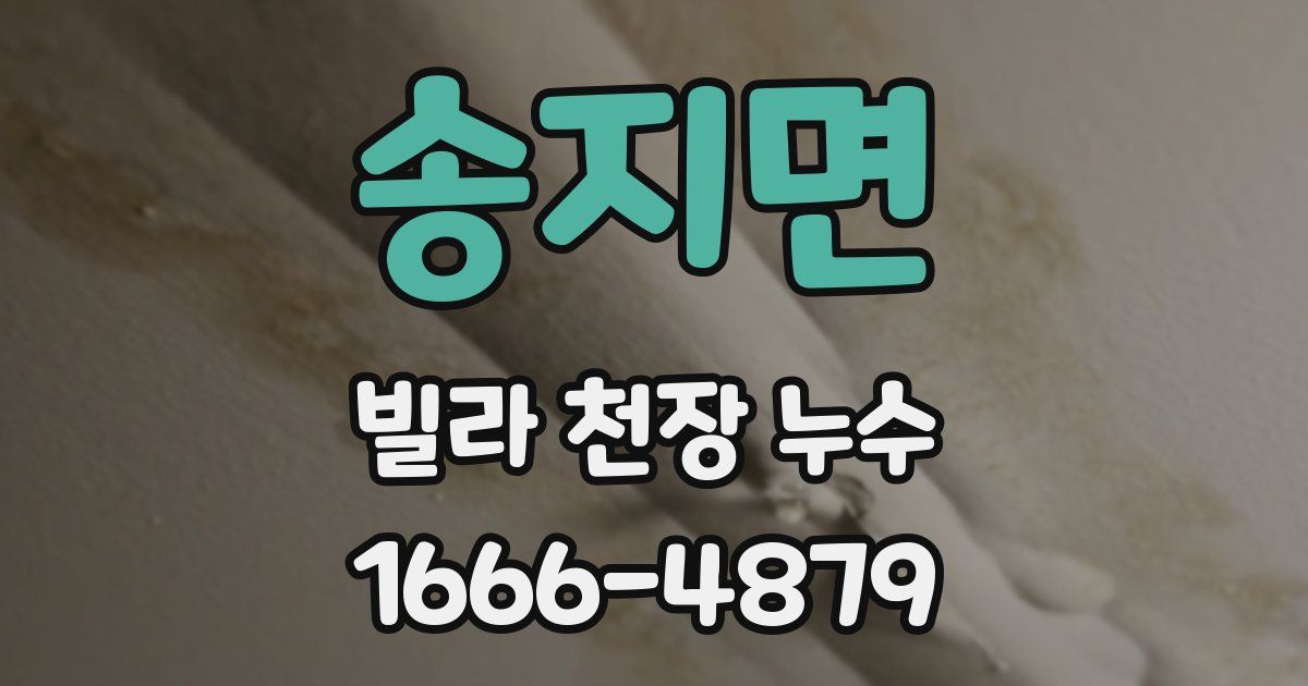 송지면 빌라 천장 누수