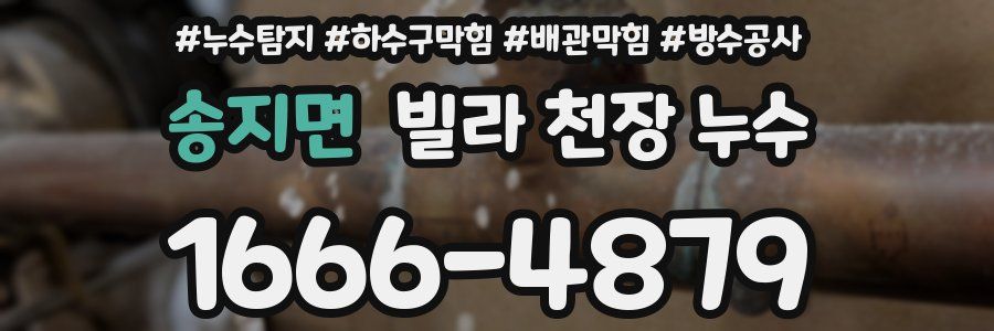 송지면 빌라 천장 누수