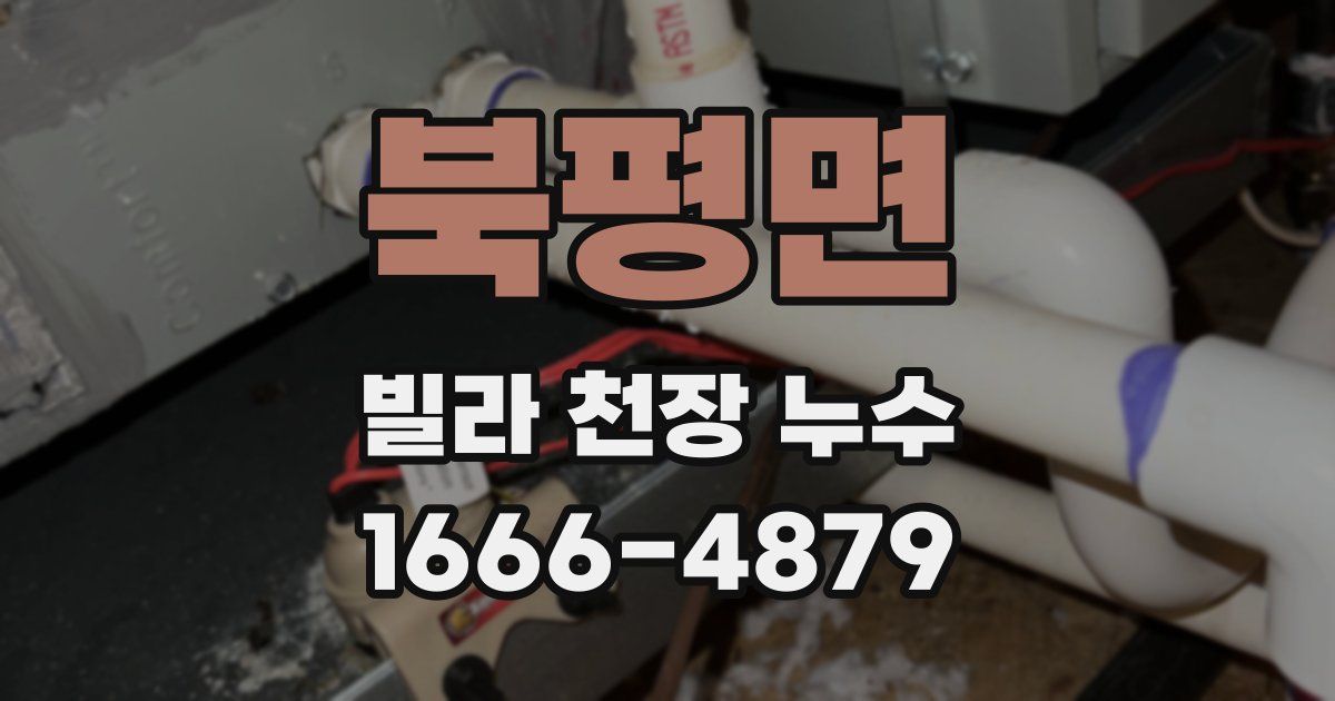 북평면 빌라 천장 누수