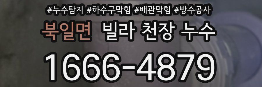 북일면 빌라 천장 누수